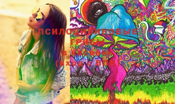 дживик Бутурлиновка