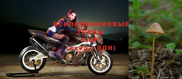 твердый Балахна